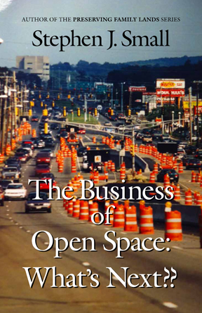 Book Cover for The Business Of Open Space: What's Next by Stephen Small